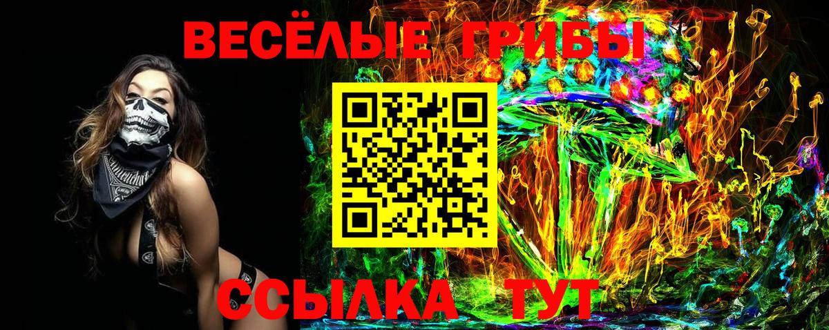 Чебаркуль  закладка  Вход с VPN  Галлюциногенные грибы Psilocybe 